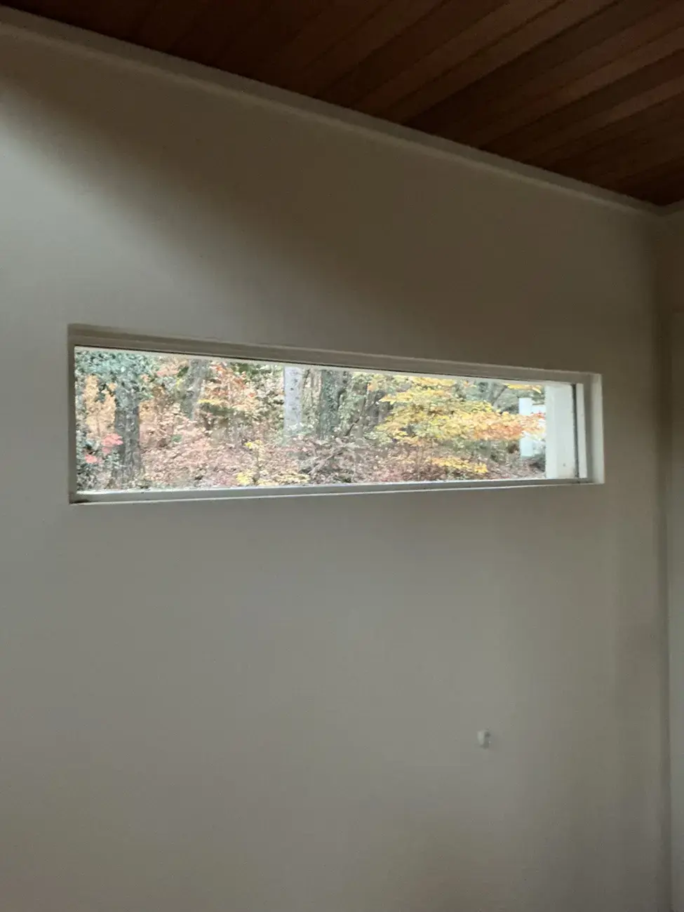 Image 2 picture windows