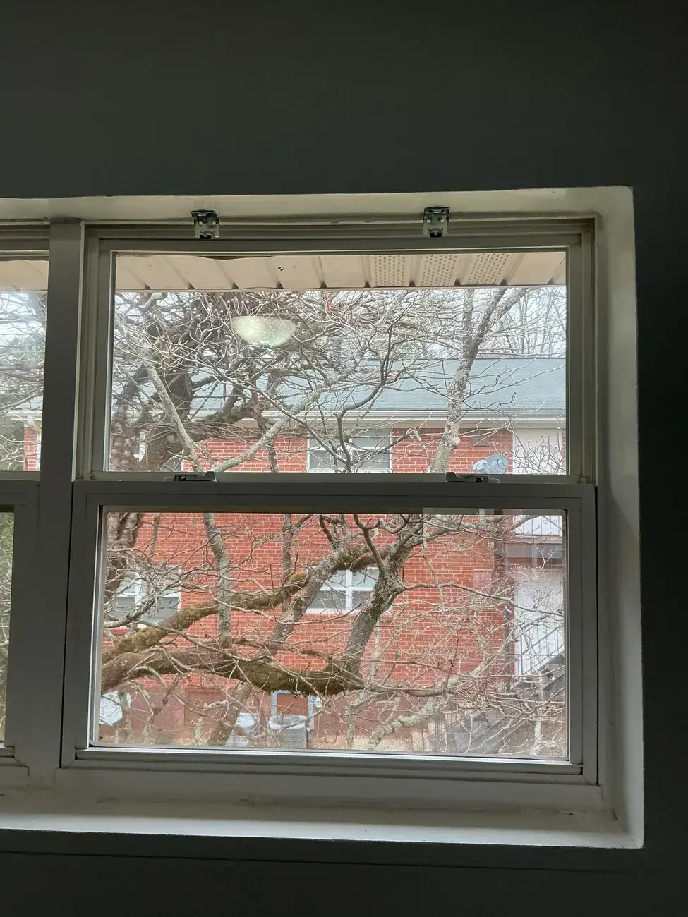 Image 16 single hung windows